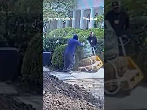 ‘WE CAUGHT THEM’: Trump BANS contractor over Rose Garden damage #shorts #foxnews #news #us #fox