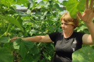 La agricultura, un salvavidas para ucranianos en zonas devastadas por la ocupación rusa