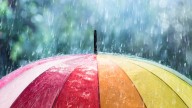 How much does it rain in Charlotte?