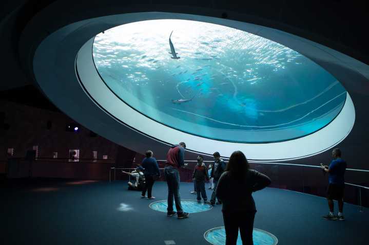 Free Blue Star Museum admissions for military families