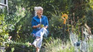 The Whimsical Perennial Flower That Will Last In Your Garden For Years