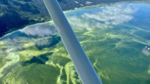 Idaho uses satellites to spot toxic algae blooms. Now you can, too