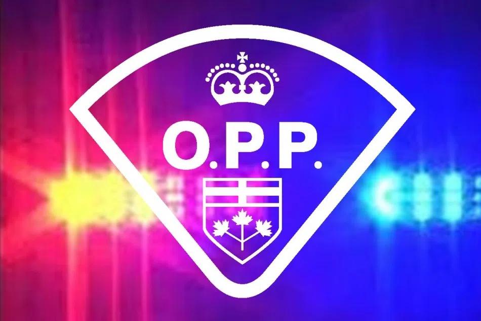Drugs and gun seized