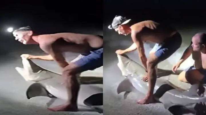 Pescador es atacado por un tiburón mientras intentaba posar para una foto: video del momento