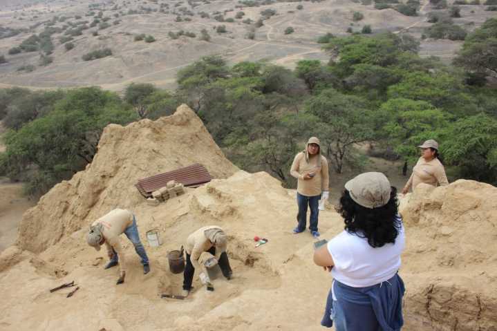 Descubren 5 nuevos fardos funerarios en el sitio arqueológico Túcume