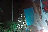 Camión transportaba postes y perdió su carga cerca de Colonia Alemana