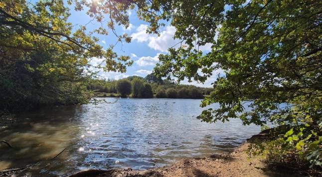 Man, 27, dies after drowning while swimming at Nuneaton beauty spot