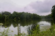 Fans of Lower Shaker Lake Balk at Sewer District's Plan to Drain the Body of Water