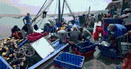 Pescadores jubilados denuncian "pensiones de hambre": más de 20.000 sobreviven con menos de S/500