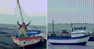Pescador sobrevive de milagro tras estar 5 días a la deriva: fue hallado por lanchero en la costa de Tumbes
