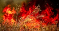 Largest California wildfire of 2025 reaches "mega fire" status