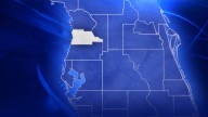 Spring Hill woman helping an injured opossum in the road, hit, killed by vehicle: FHP