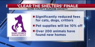 Help Dane Co. Humane Society ‘Clear the Shelter’ at adoption finale