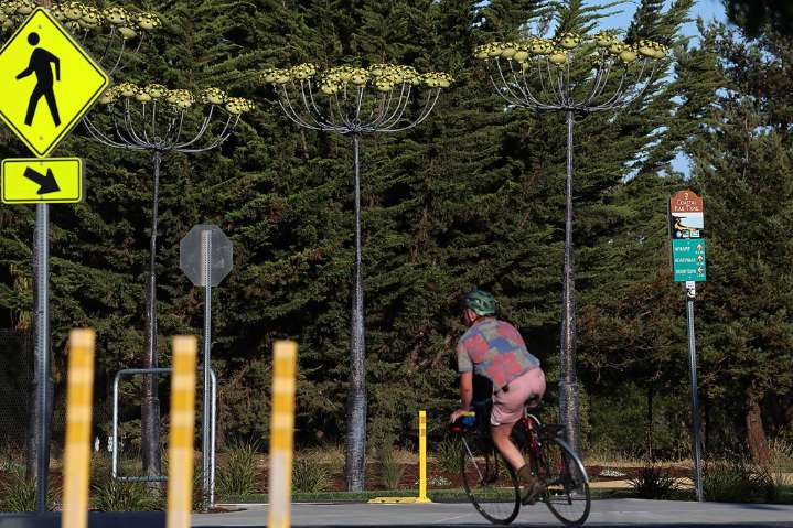Photo | Cyclists passes ‘A Feast of Flowers’ art installation on Coastal Rail Trail