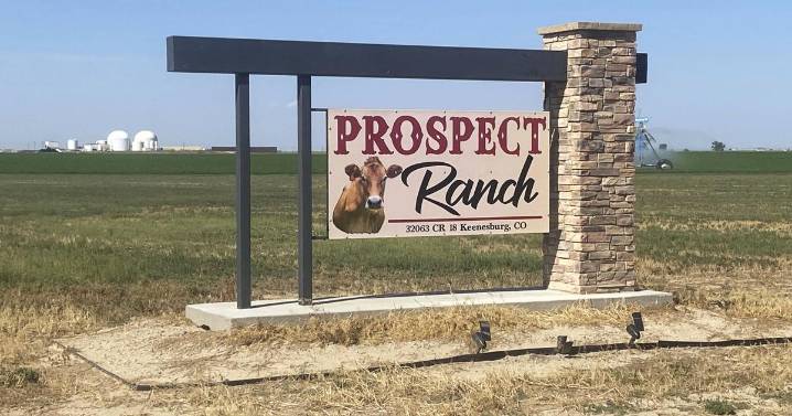 Rural Colorado mourns 6 dairy workers who died from suspected gas exposure