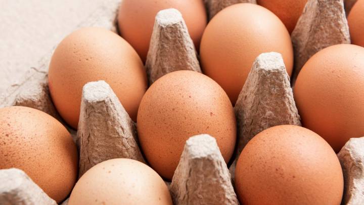 Brote de salmonela por huevos en Estados Unidos – Telemundo Area de la Bahía 48