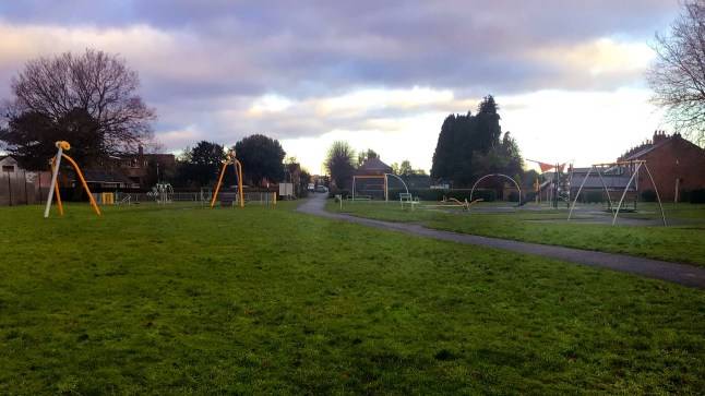 Boy, 12, dies after falling from playground equipment