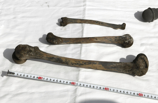 Bones found at Japanese site where Korean forced laborers died in WWII are human remains, police say