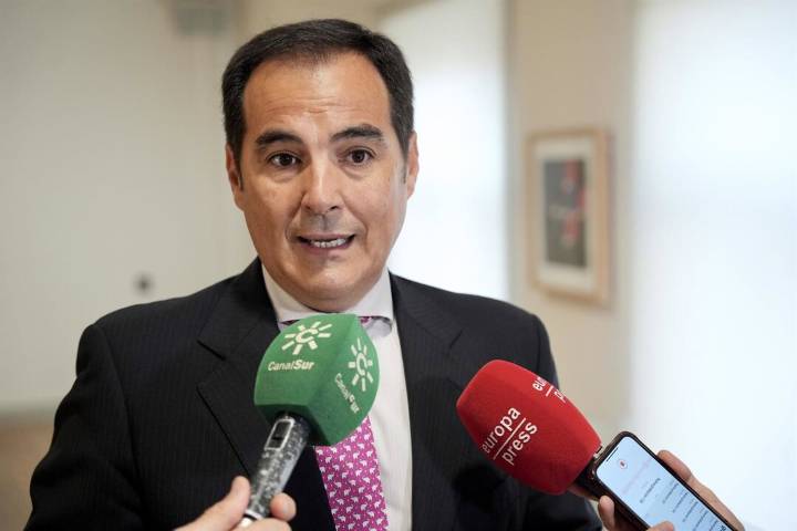 Nieto insiste en que las obras de la Ciudad de la Justicia comenzarán "antes de acabar el año"