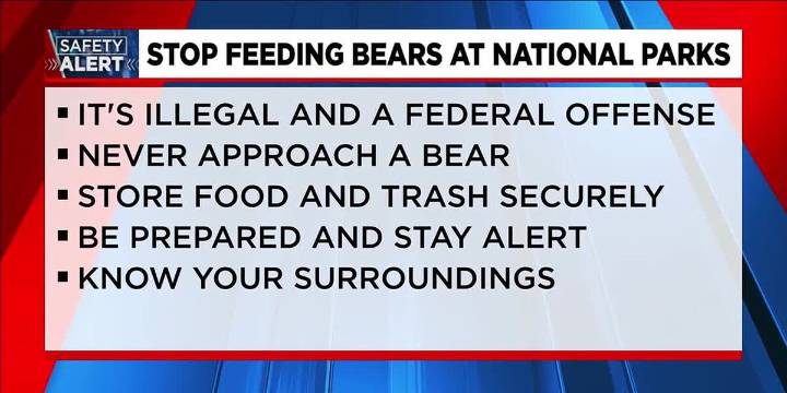 Safety Alert: Stop feeding bears at national parks