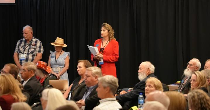 Three state senators sue Montana GOP over removal from party convention
