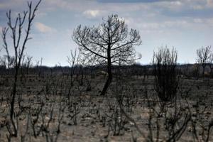 Spain heatwave was ‘most intense on record’