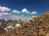 USFS planning improvements at busiest hiking areas in Summit County