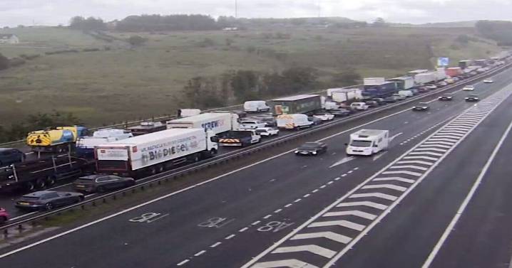 West Lothian drivers facing major delays as M8 closed after man 'found injured'
