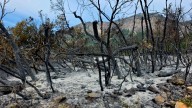 Willard Peak Fire evacuations downgraded as containment increases to 41%