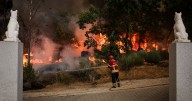 Firefighter dies in Portugal after fire engine plunges into ravine on call out