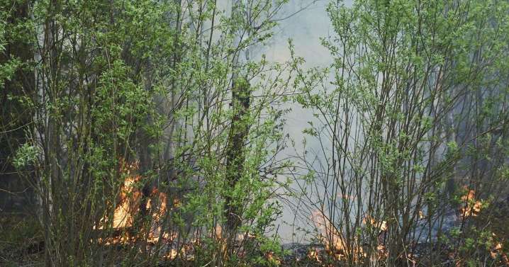 Satellite images reveal conditions that contributed to 'catastrophic' wildfire season