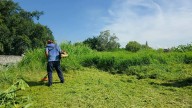 Habrá jornada de reforestación en Cuautla este domingo