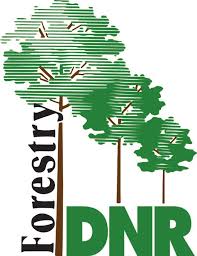 Indiana DNR announces fall and winter urban forestry events