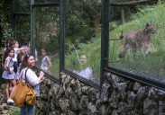 Aluvión de muestras de apoyo al zoo de Santillana del Mar