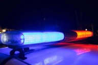 Cops searching for men suspected in necklace-snatching spree in Brooklyn and the Bronx • Brooklyn Paper