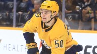 Top prospects for Nashville Predators