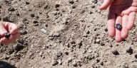 ASU scientists discover fossils suggesting new species of ancient humans