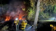 Firefighters from Alabama battle wildland fires in Washington