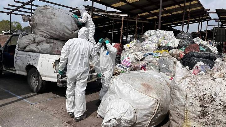 Tepeji del Río: recolectan cuatro toneladas y media de envases vacíos de plaguicidas