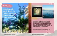 Inteligencia espiritual: la belleza como puente a lo trascendente