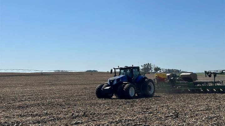 Faltando pocos días para que comience la siembra, proyectan que el área de maíz crecerá casi un 10%