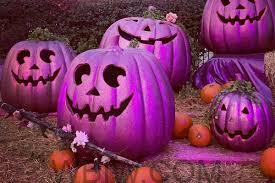The Lawrence County Coalition Against Domestic Violence launches 2025 Purple Pumpkin Project for domestic violence awareness