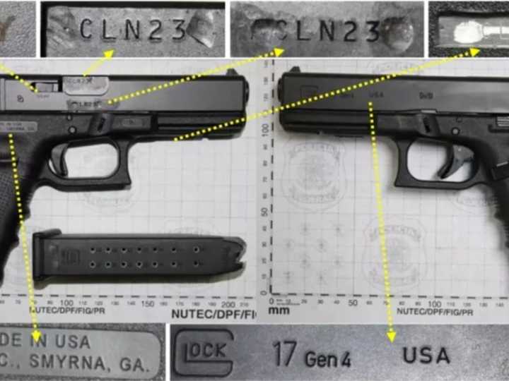 Dos "peluqueras caninas" estadounidenses llegan a Chile con una 9 milímetros, dos cargadores y una pistola Glock