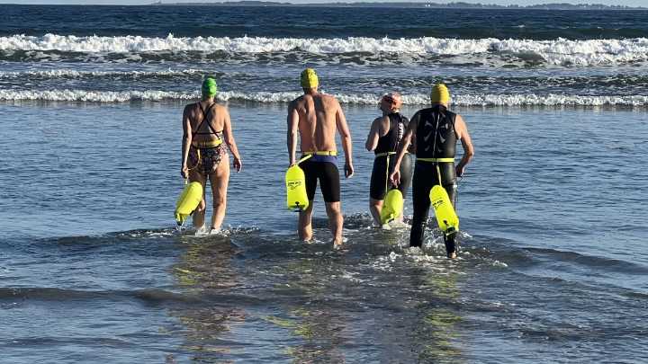 Open water swimmers along the Maine coast are 'shark aware' but have little fear