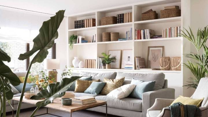 Si querés una planta de exterior y sombra, vas a amar estas opciones