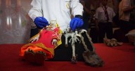 Mystery of Peru's three-fingered 'alien mummies' finally 'solved' by scientists
