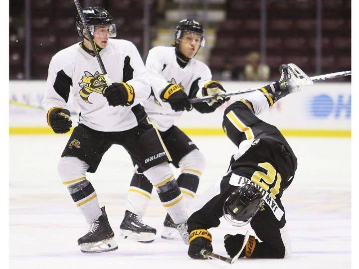 Sarnia Sting play Black and White intrasquad game