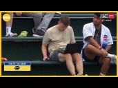 Wrigley Field fan works remotely during game