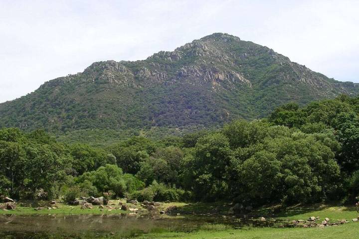 Pese a la sequía y el cambio climático, Andalucía es hoy más verde que en los 90. No es tan positivo como parece