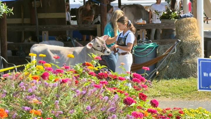 What’s happening in the Mid-Hudson Valley: Aug. 25, 2025